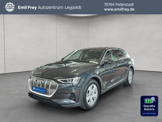 Audi e-tron 50 quattro 2022 Elektrisch