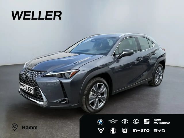 Lexus UX 300e Luxury Line *LED*360°*M Levinson*HUD*ACC* 2026 Elektrisch