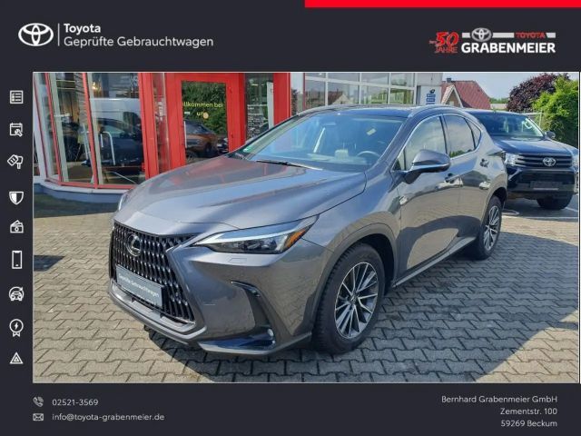 Lexus NX 350h Executive Line 2025 Hybride / Benzine