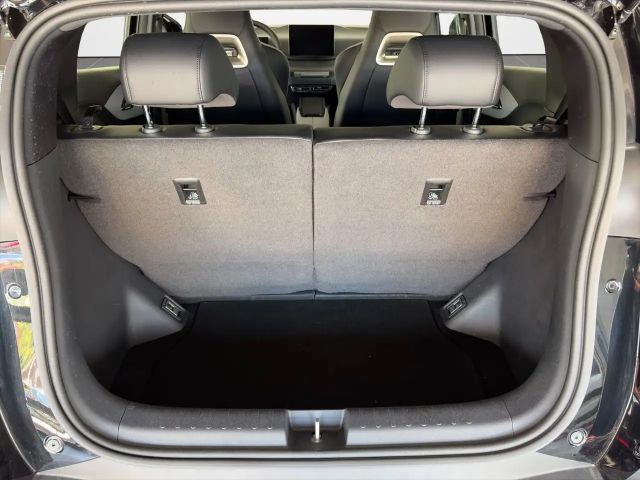 BYD Dolphin Surf