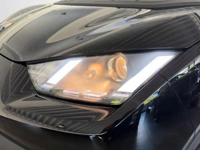 BYD Dolphin Surf