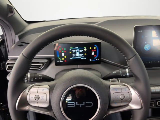 BYD Dolphin Surf