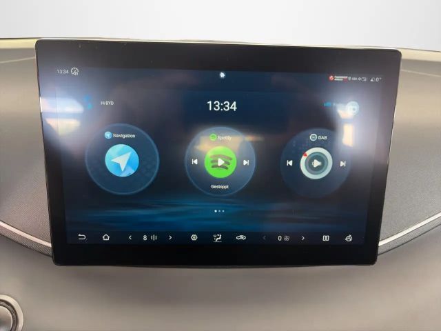 BYD Dolphin Surf