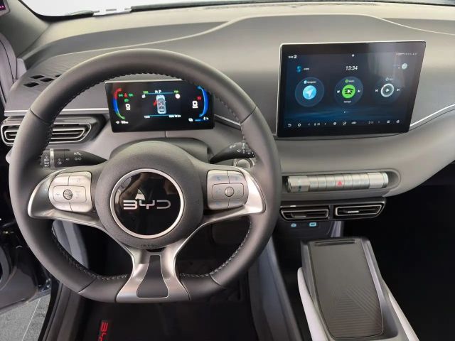 BYD Dolphin Surf