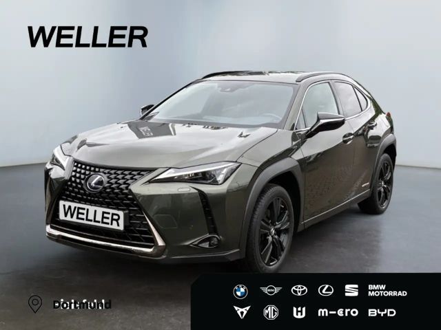 Lexus UX 250h Style+ Edition *LED*CAM*ACC*SHZ*Totwinkel* 2021 Hybride / Benzine