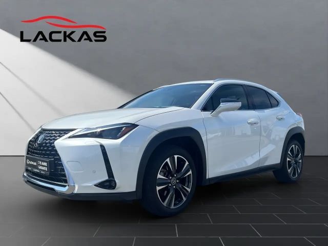 Lexus UX 250h 250 h*EXECUTIVE*HUD*LEDER*SCHIEBEDACH 2023 Hybride / Benzine