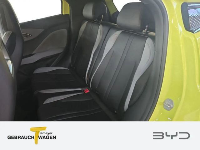 BYD Dolphin Surf