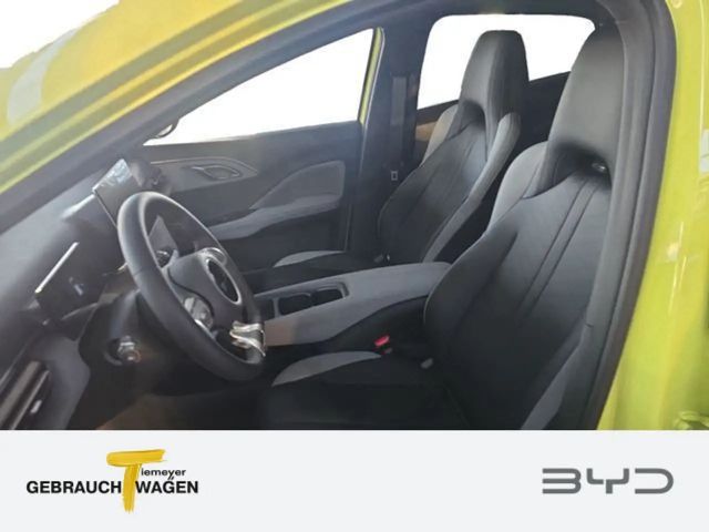 BYD Dolphin Surf