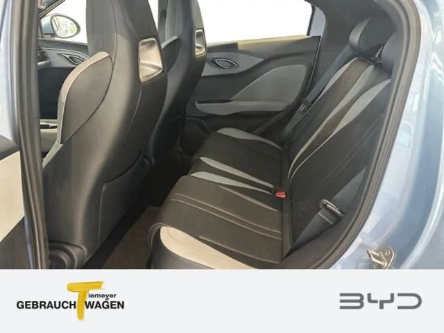 BYD Dolphin Surf