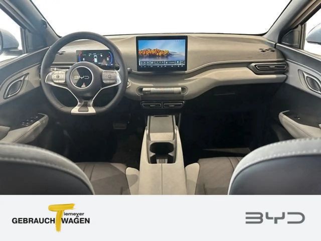 BYD Dolphin Surf