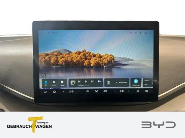 BYD Dolphin Surf