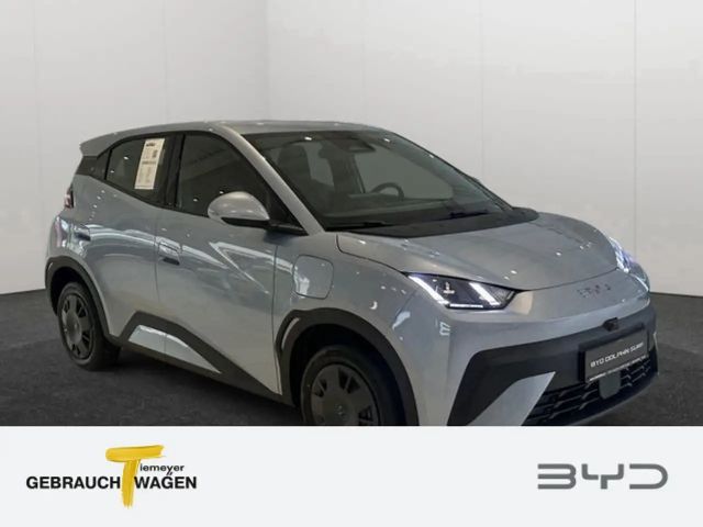 BYD Dolphin Surf