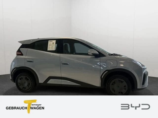 BYD Dolphin Surf
