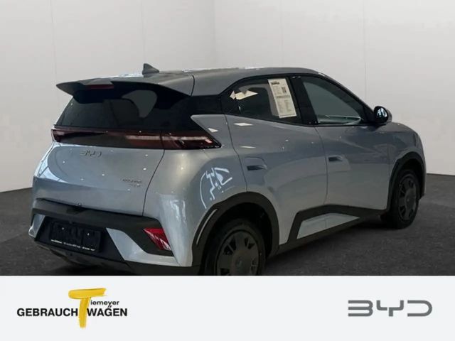 BYD Dolphin Surf