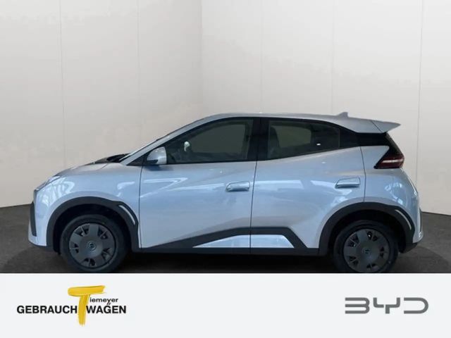 BYD Dolphin Surf