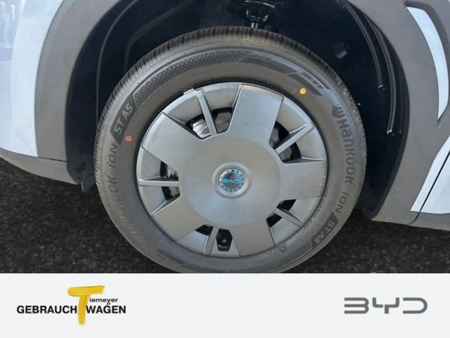 BYD Dolphin Surf