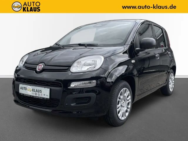 Fiat New Panda