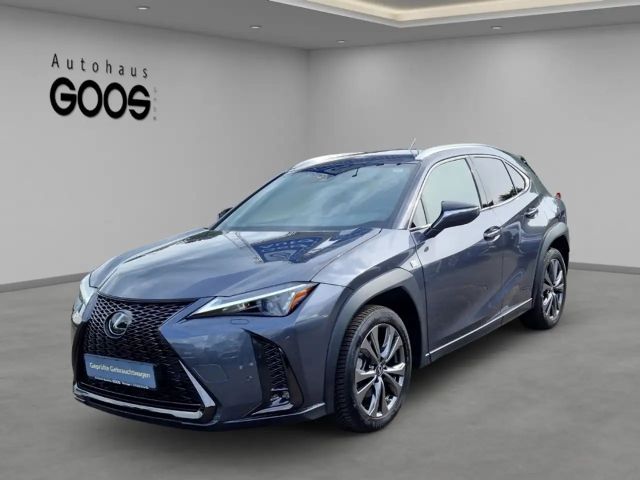 Lexus UX 250h Navi LED Dyn. Kurvenlicht ACC Apple CarPlay Androi 2024 Hybride / Benzine