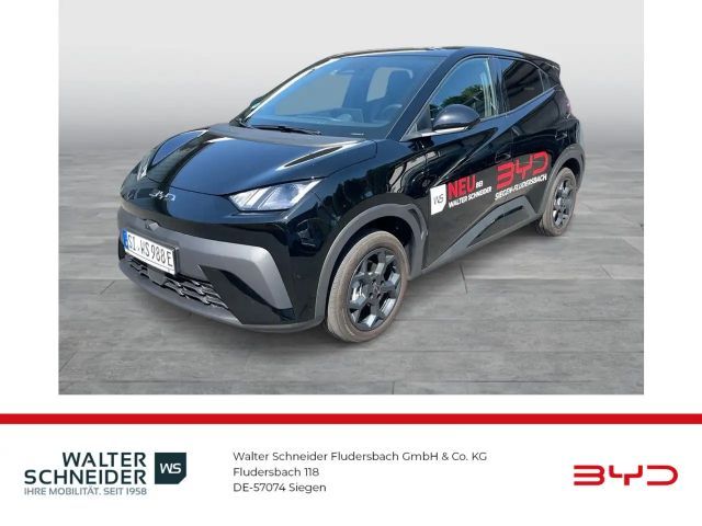 BYD Dolphin Surf
