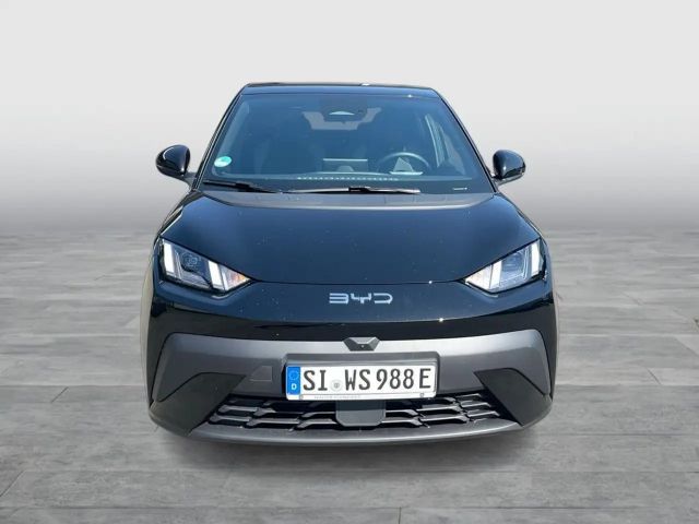 BYD Dolphin Surf