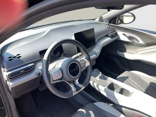 BYD Dolphin Surf