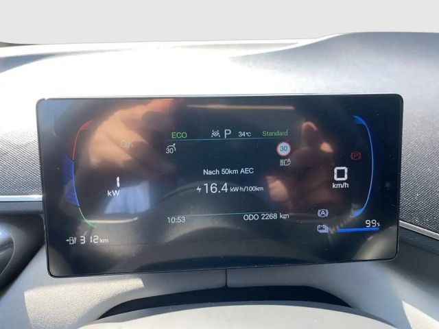 BYD Dolphin Surf