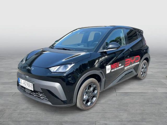 BYD Dolphin Surf