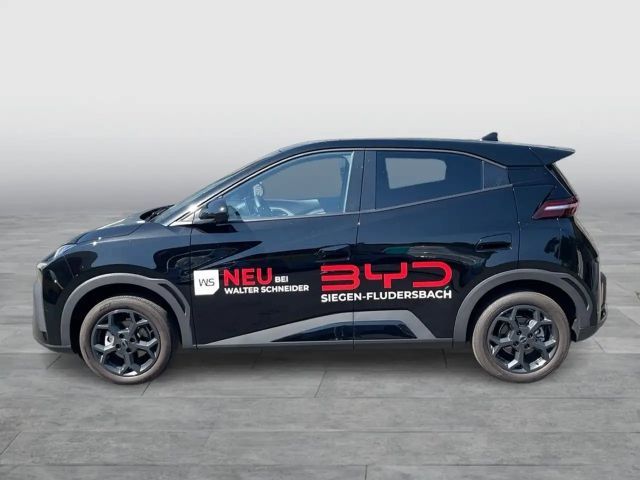 BYD Dolphin Surf
