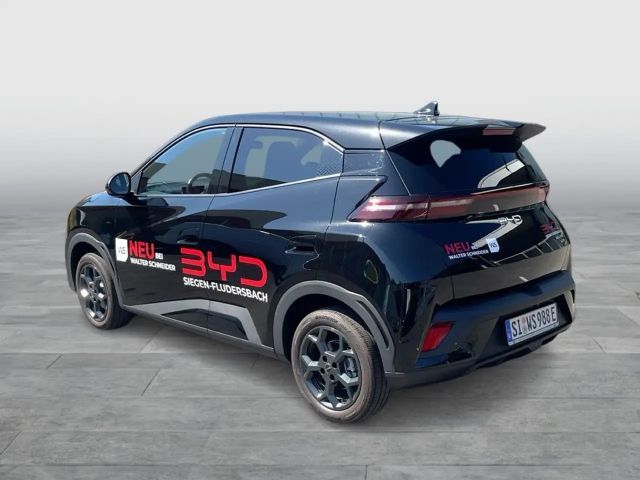 BYD Dolphin Surf