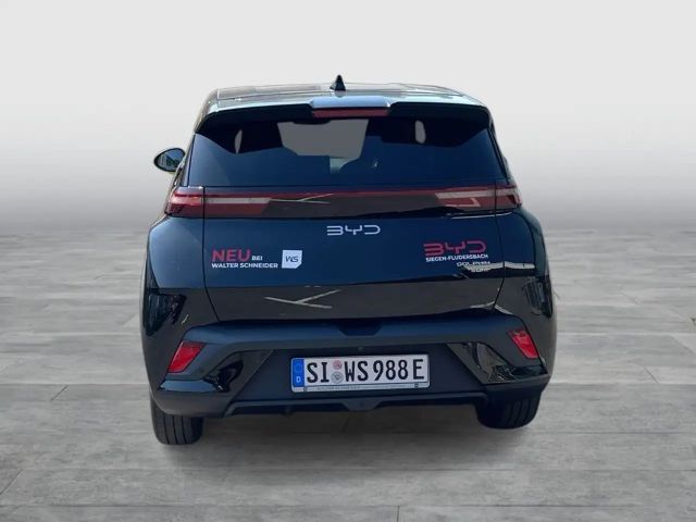 BYD Dolphin Surf