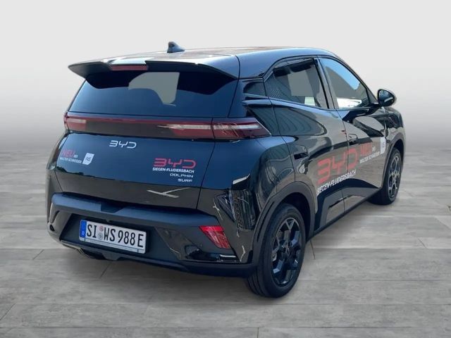 BYD Dolphin Surf