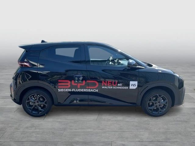 BYD Dolphin Surf