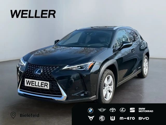 Lexus UX 250h Style Edition *Bi-LED*ACC*CAM*SHZ*CarPlay* 2022 Hybride / Benzine