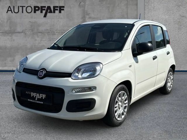Fiat Pandina