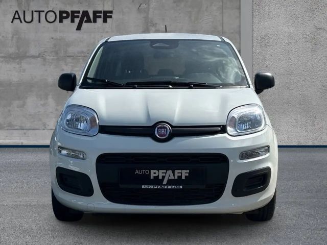 Fiat Pandina