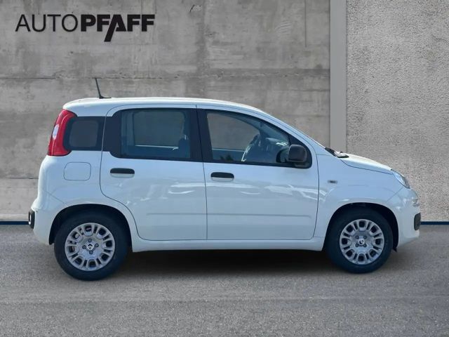 Fiat Pandina