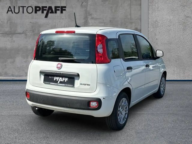 Fiat Pandina