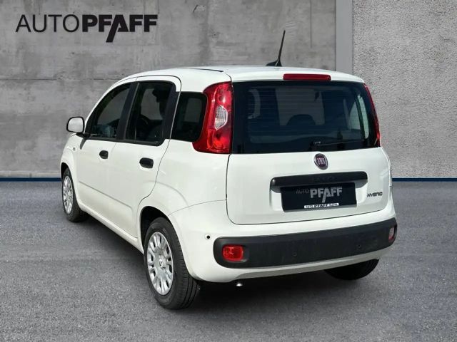 Fiat Pandina