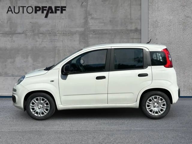 Fiat Pandina