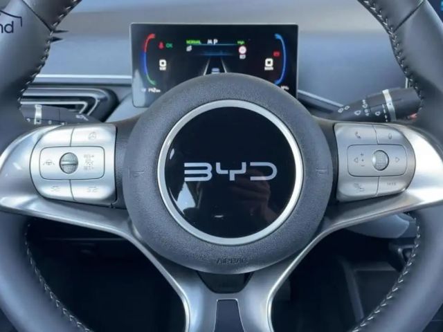BYD Dolphin Surf