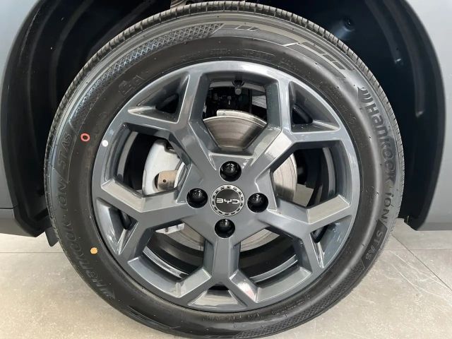BYD Dolphin Surf