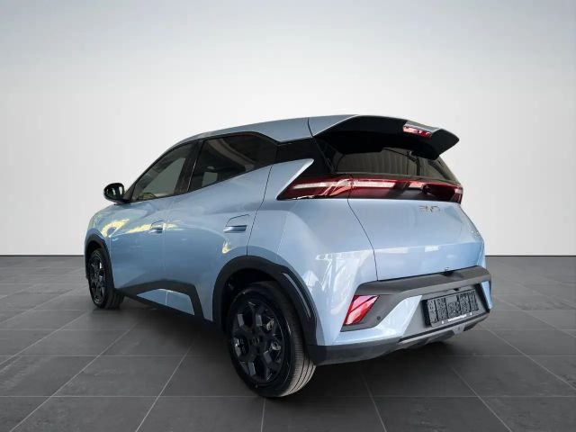 BYD Dolphin Surf