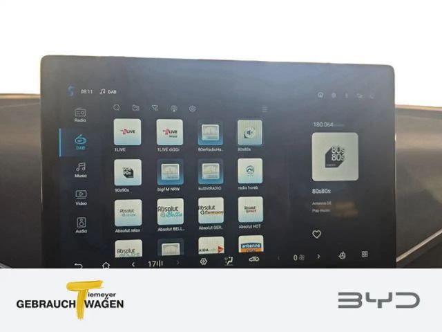 BYD Dolphin Surf
