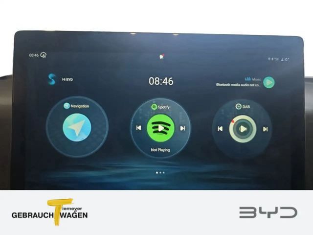 BYD Dolphin Surf