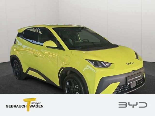BYD Dolphin Surf