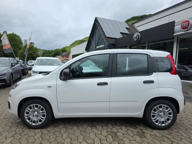 Fiat New Panda