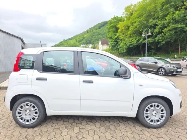 Fiat New Panda