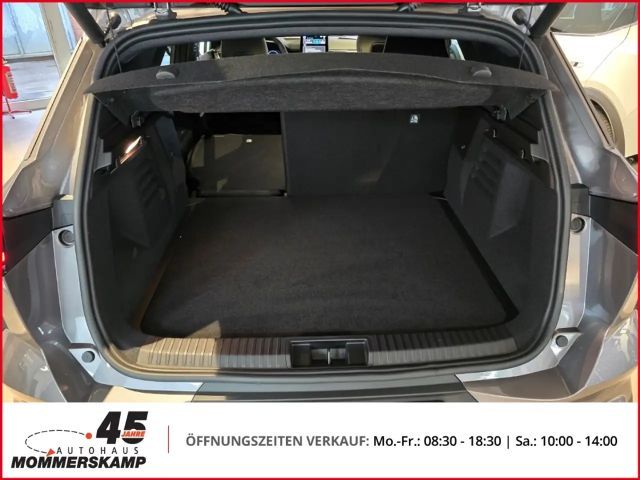 Mitsubishi Grandis