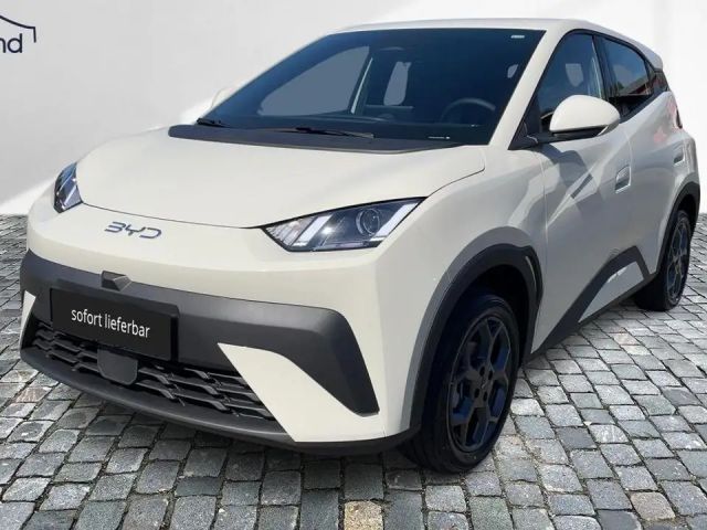 BYD Dolphin Surf