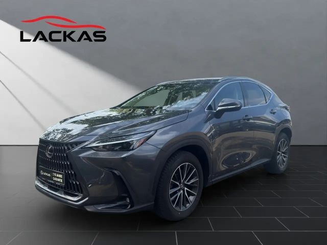 Lexus NX 450h+ + Executive Line E-Four Interieur+Technologie 2024 Hybride / Benzine